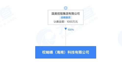 國美跨界布局 在海南成立哎呦喂科技公司，拓展食品進出口與網(wǎng)絡(luò)文化經(jīng)營