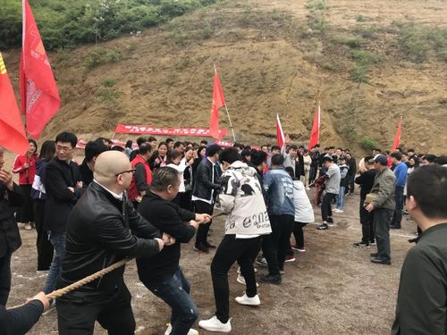 建強堡壘把方向 創新培訓促發展——中共河南省網絡文化協會支部委員會黨建案例