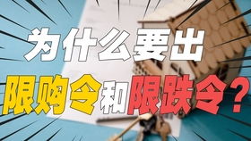從創業到大廠 95后產品經理深度拆解互聯網銷售、市場與運營的真相